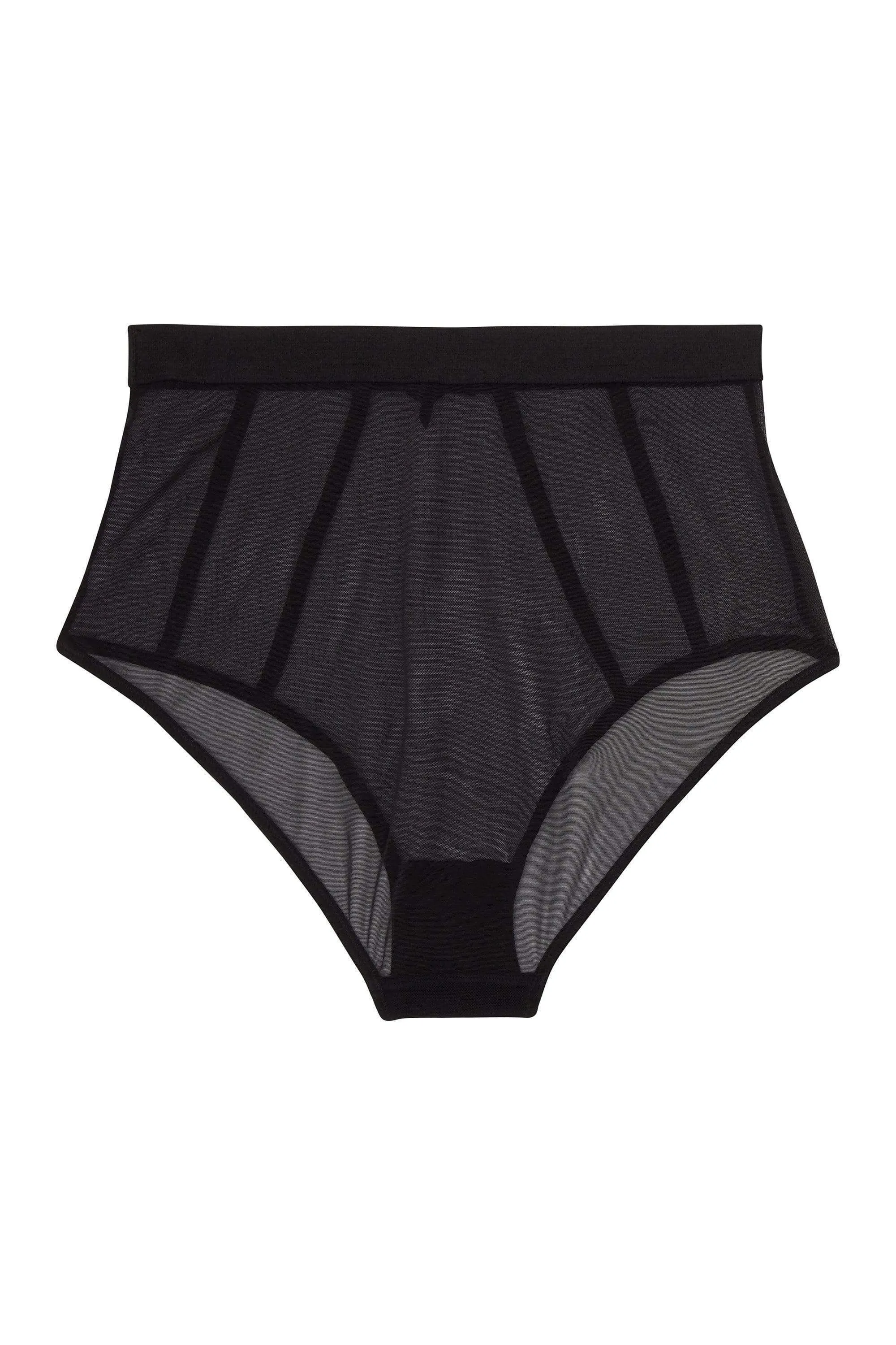 Regalia Colette Mesh Panelled High Waist Brief
